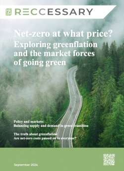 Net-zero at what price? Exploring greenflation and the market forces of going green