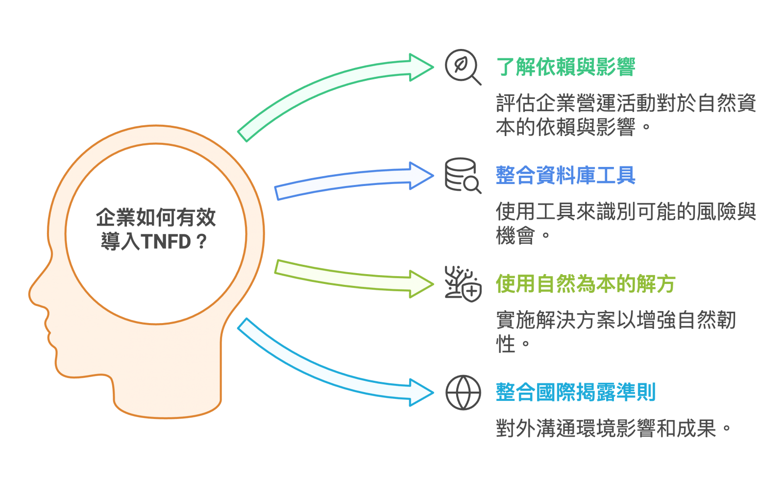 企業如何有效導入TNFD