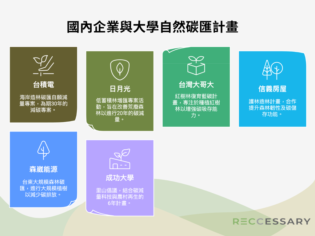 目前國內投入自然碳匯專案的民間企業與大學。