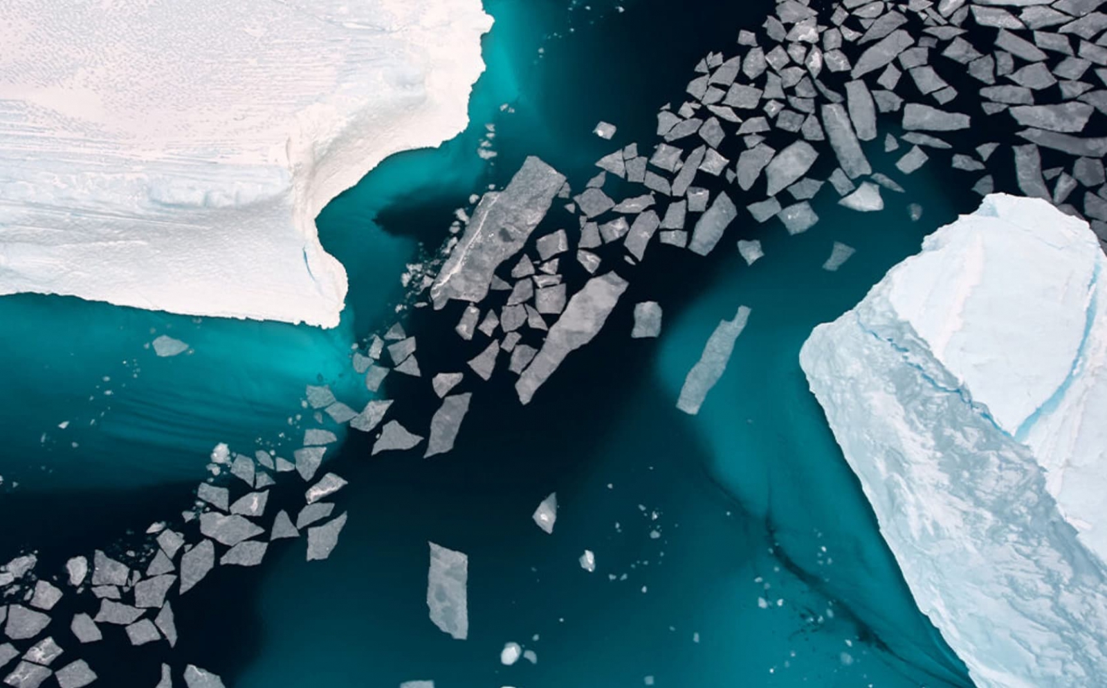 Arctic Sea ice fragments near Greenland float between two icebergs in 2022. Image by Adam Sébire/Climate Visuals (CC BY-NC-ND 4.0).