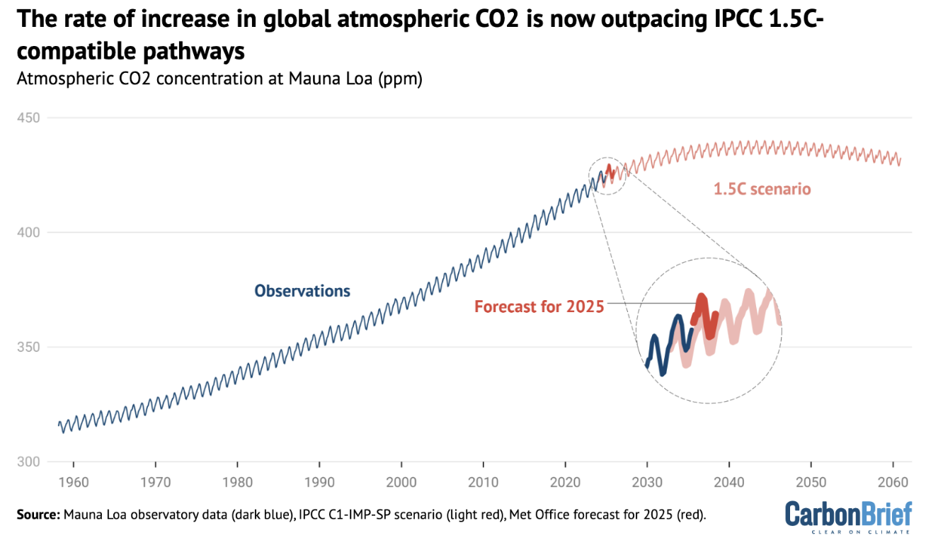 Monthly CO2 concentrations at Mauna Loa from observations up to 2024 (blue) and the IPCC C1-IMP-SP scenario consistent with limiting global warming to 1.5C (light red). Also shown is the Met Office forecast for 2025 (red).