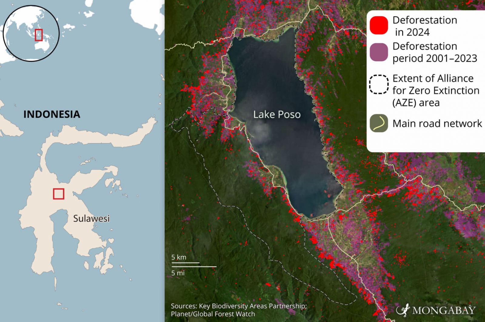 Data from the national statistics agency show forest cover Poso district decreased from 514,651 hectares (1.27 million acres) in 2014 to 358,828 hectares (886,680 acres) in 2021, a loss equivalent to the size of London in just eight years.