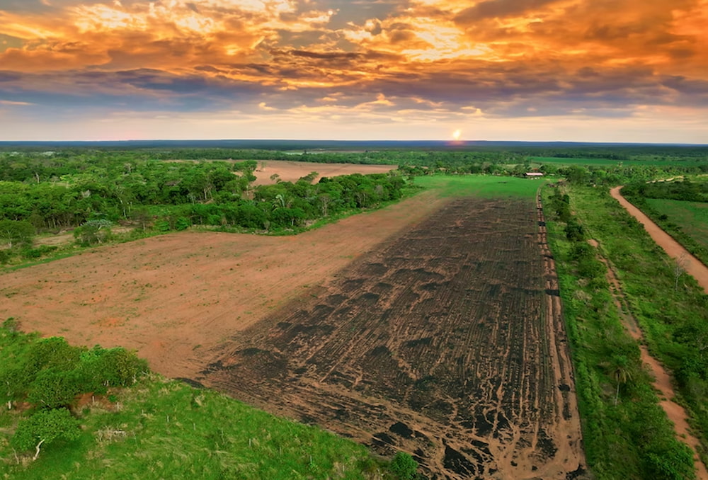 Biochar not only sequesters carbon but also improves soil quality. Pictured is a biochar test site operated by carbon removal company Exomad Green. (Image: Exomad Green’s official website)
