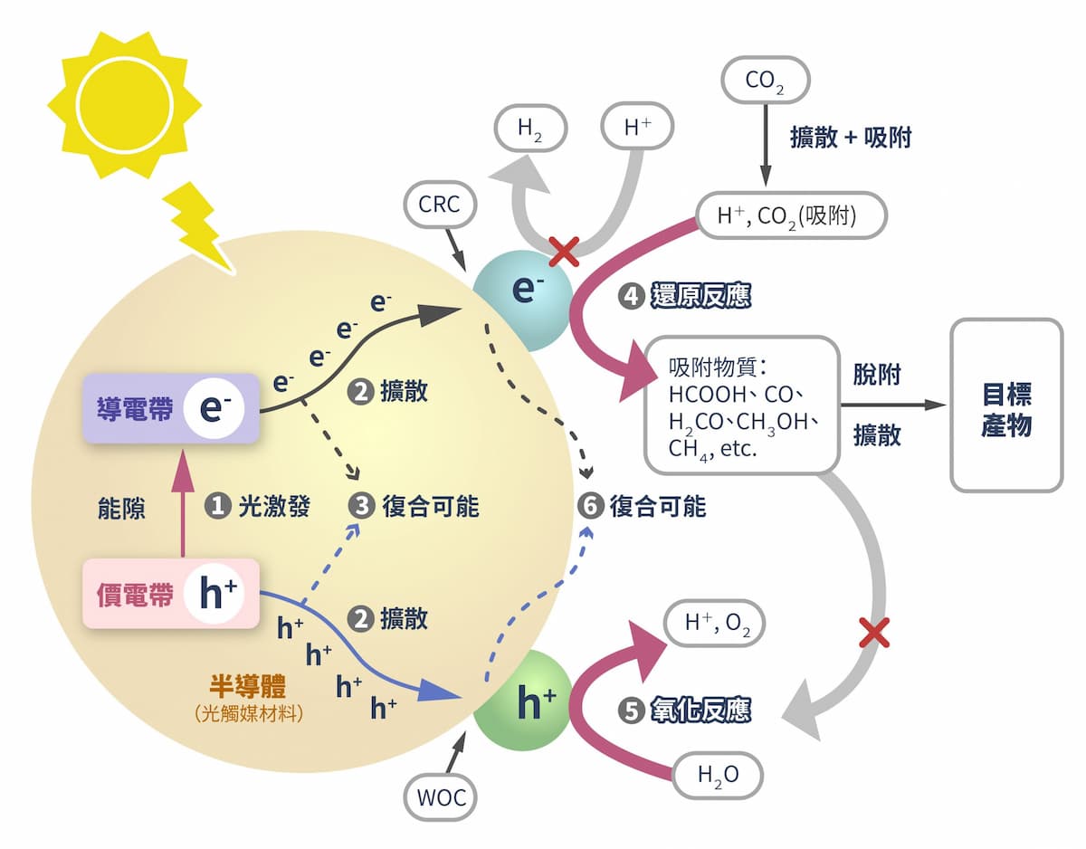 光觸媒材料將二氧化碳還原成目標產物的示意圖。光觸媒材料是一種半導體，照光之後產生電子（e–）和電洞（h+），之後電子和電洞各自擴散到材料表面，並和吸附在材料表面的二氧化碳產生還原反應。圖｜研之有物