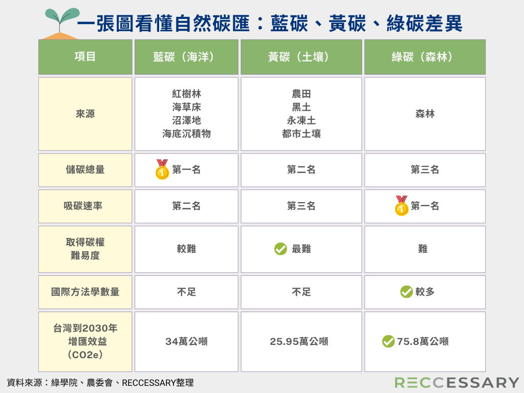 一張圖看懂自然碳匯：藍碳、黃碳、綠碳差異