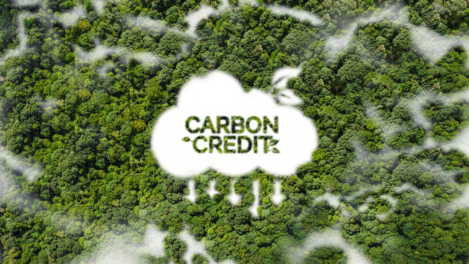 Vietnam has much to do as it works to establish a carbon credit market.