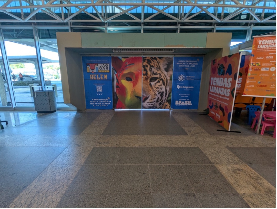 一進貝倫機場，看到的盡是雨林的意象。圖片來源：王之杰攝