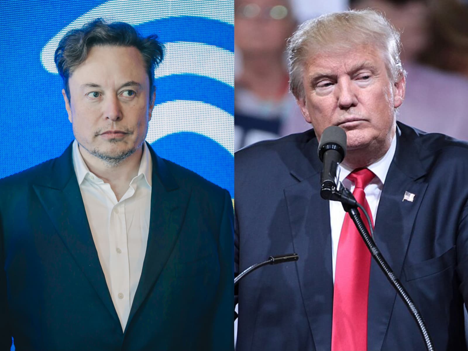 Elon Musk, Donald Trump's livestream conversation on climate issues draws criticism