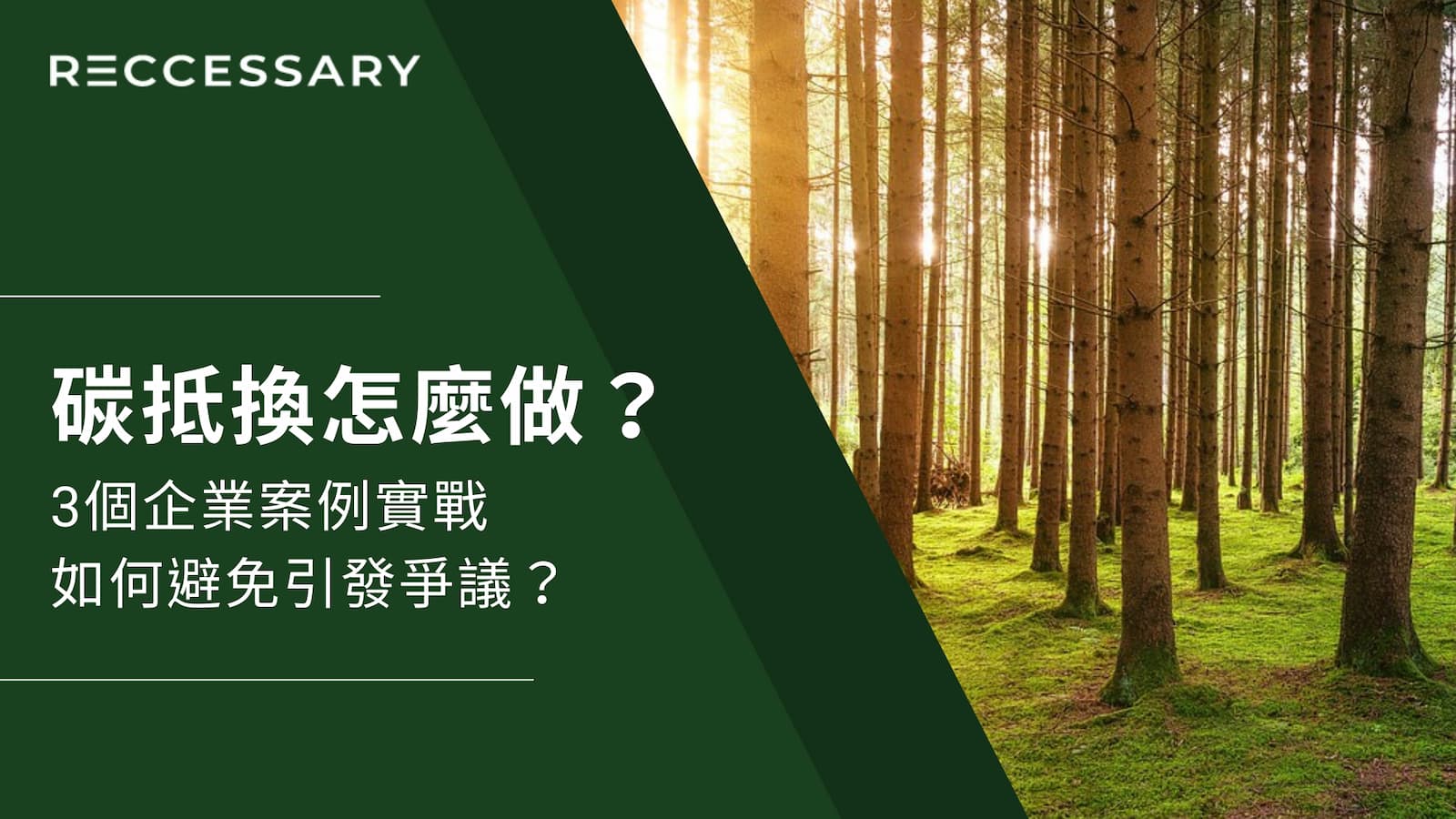 碳抵換怎麼做？3個企業案例實戰，如何避免引發爭議？