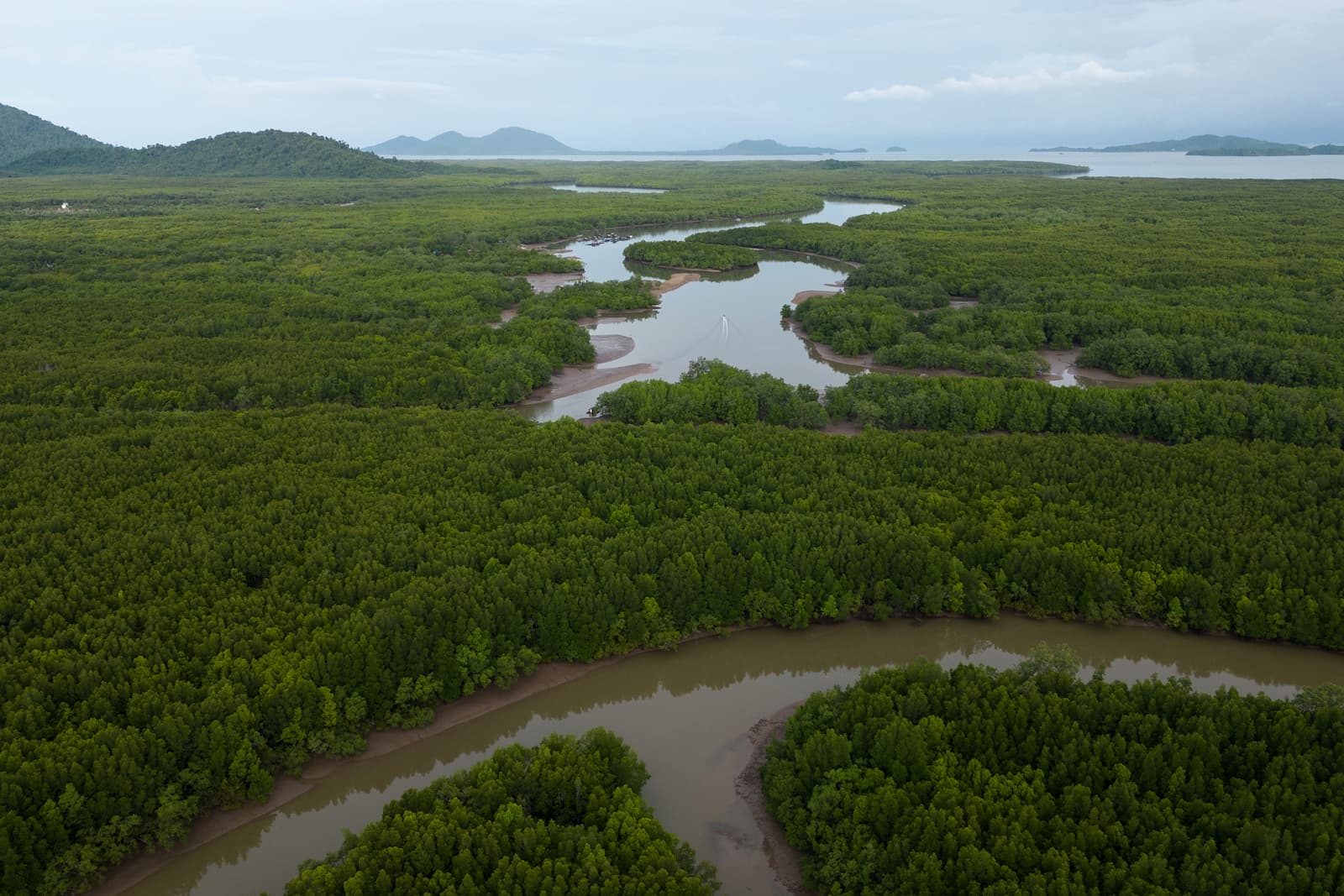 The forests of Bang Rin are right next to the Mu Ko Ranong National Park’s vast expanse of mangroves and muddy waterways. An important carbon sink, these forests are key to Thailand’s net-zero ambitions 