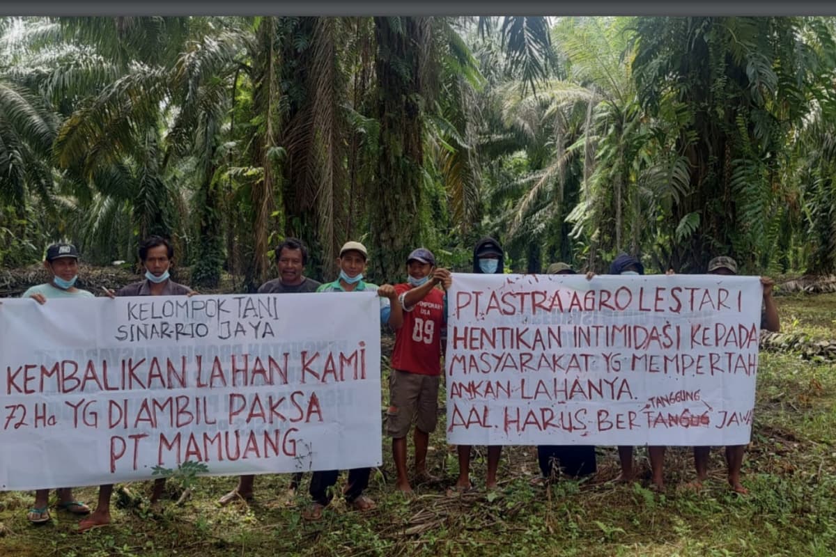 WALHI and the Sinar Rio Jaya Farmers Group protest against PT Mamuang’s land grab in Rio Mukti. Mamuang is a member of the Astra Agro Lestari group in Sulawesi. Image courtesy of WALHI.