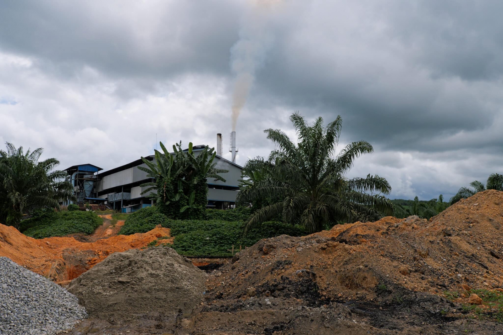 A pile of leftover palm oil husks behind PT Sawit Jaya Abadi’s factory, a subsidiary of AAL in Poso, Central Sulawesi, in March 2024. Image courtesy of Friends of the Earth.