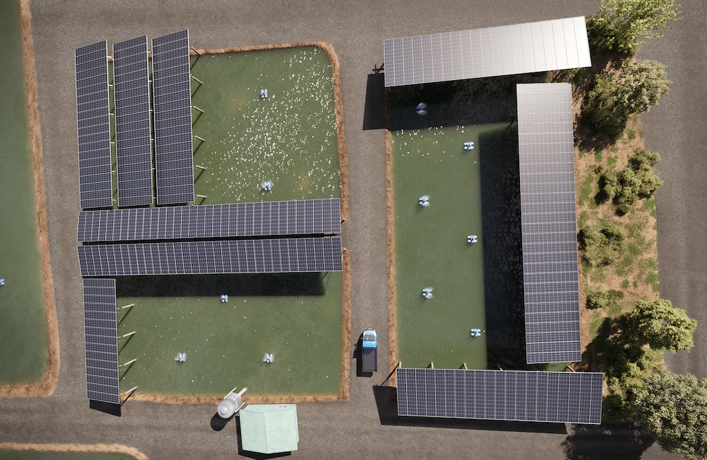 Lightsource bp表示，案場2026年完工後預估可年供應4.1萬戶家庭用電，預計創造750個就業機會​​​​​​​。