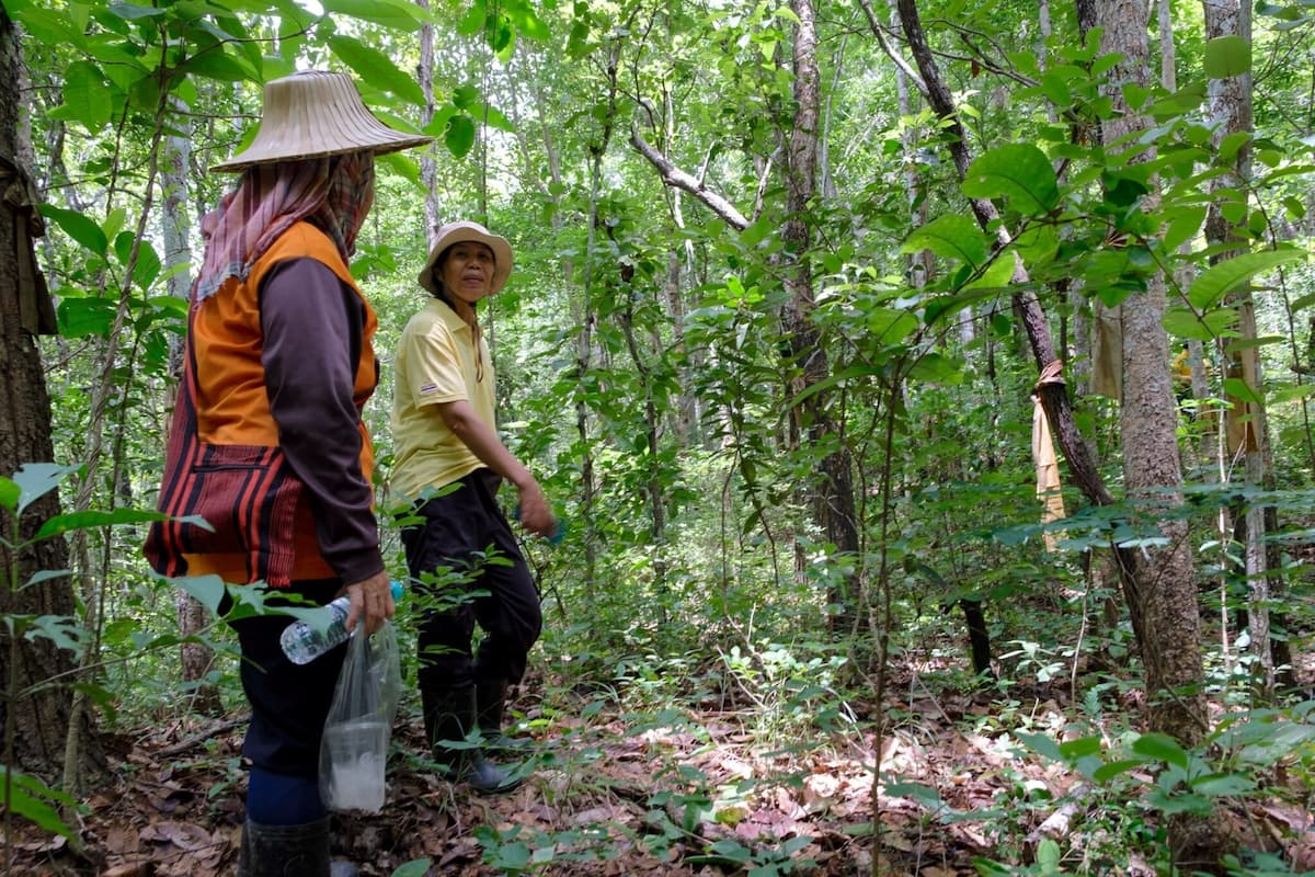 Members of the community forest group chat on their way to inspect a check dam. Image by Carolyn Cowan/Mongabay.