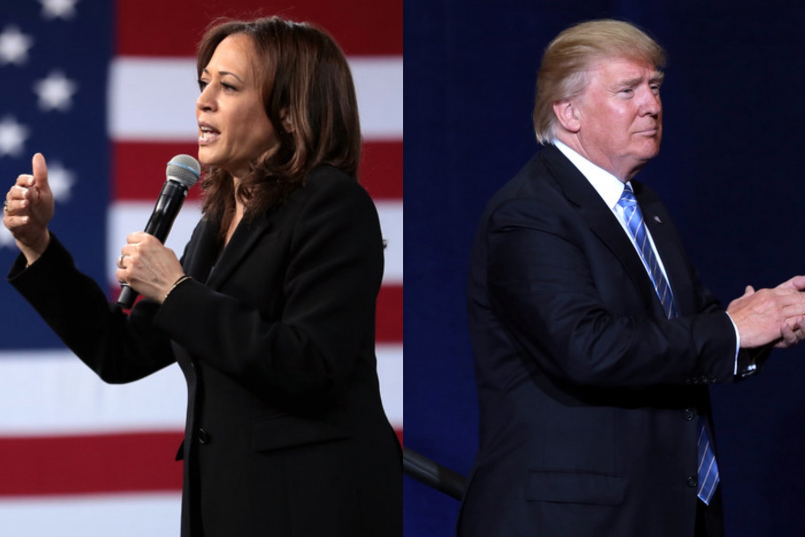 US election 2024: How Kamala Harris and Donald Trump differ starkly on energy and climate