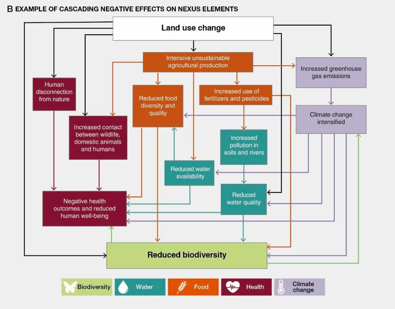 An example of cascading negative effects on nexus elements. Credit: IPBES (2024) SPM.4.