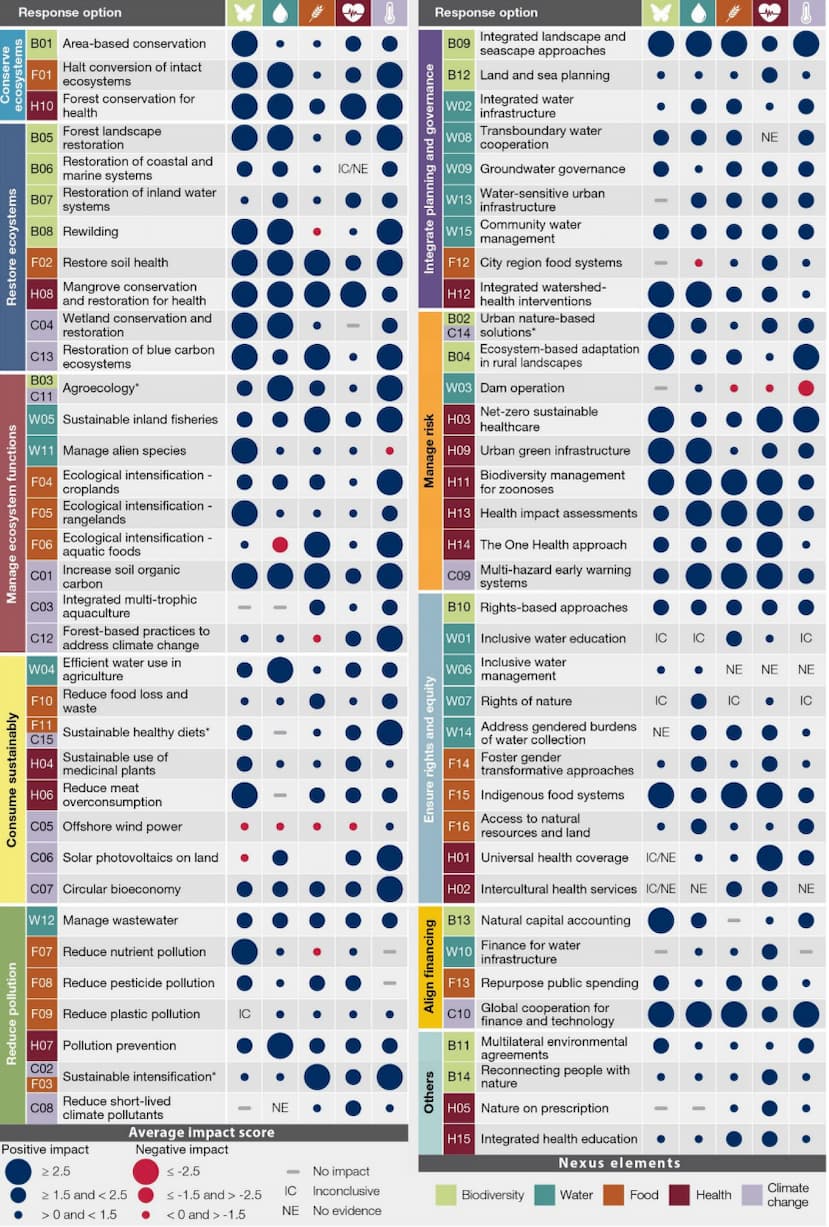 The positive and negative effects associated with 71 response options for addressing at least one element of the nexus between biodiversity, water, food, health and climate change. Credit: IPBES (2024) SPM.8.