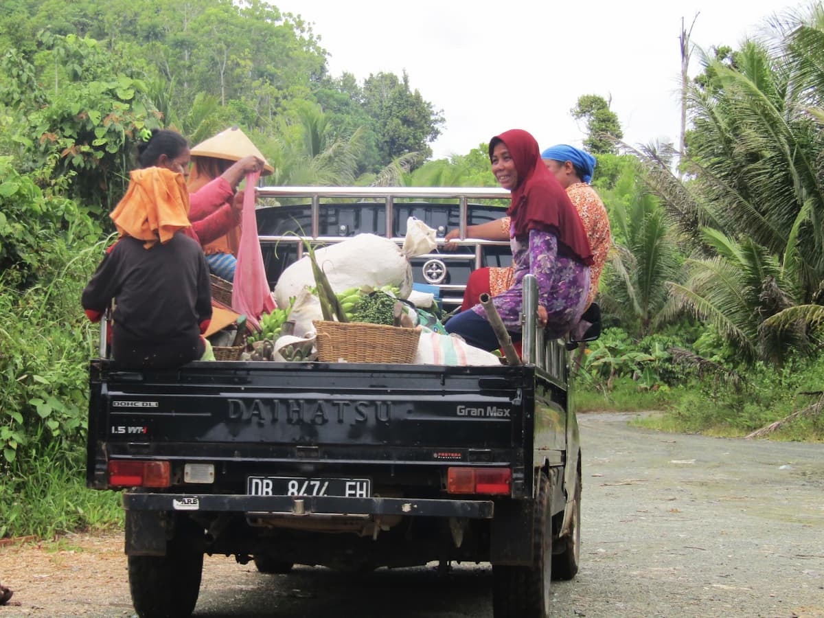 A group of women farmers from Kawasi village ride in a pickup truck after harvesting crops from a plantation near the Ake Lamo River in Obi (Credit: Rabul Sawal / Project Multatuli)