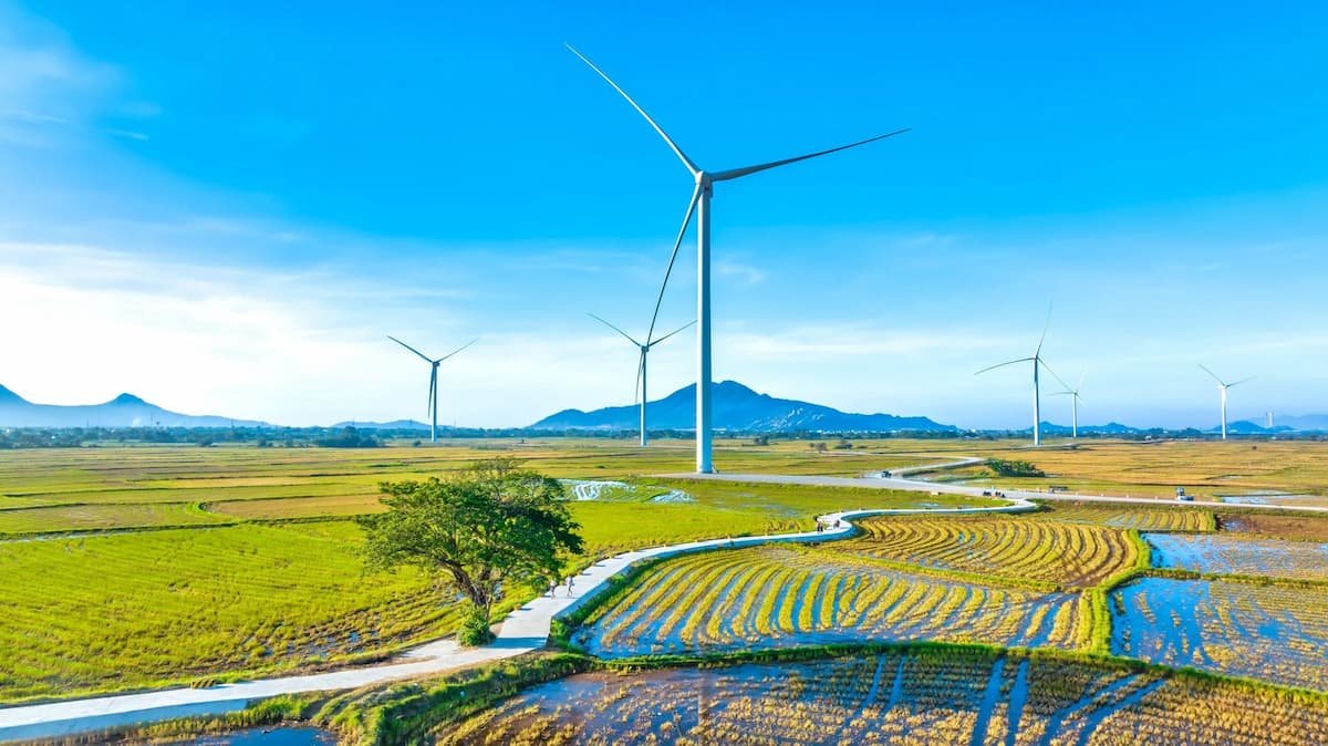 Wind turbines in Phan Rang–Tháp Chàm, a coastal city in southern Vietnam (Image: Thoai Pham / Alamy)
