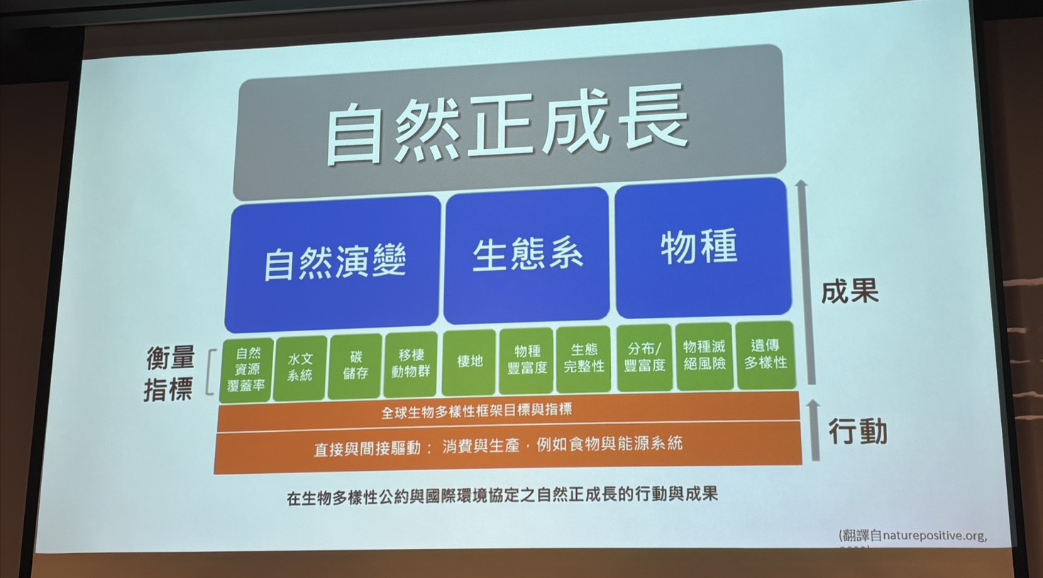 自然正向議題涵蓋廣泛。（攝影：莊閔茜）