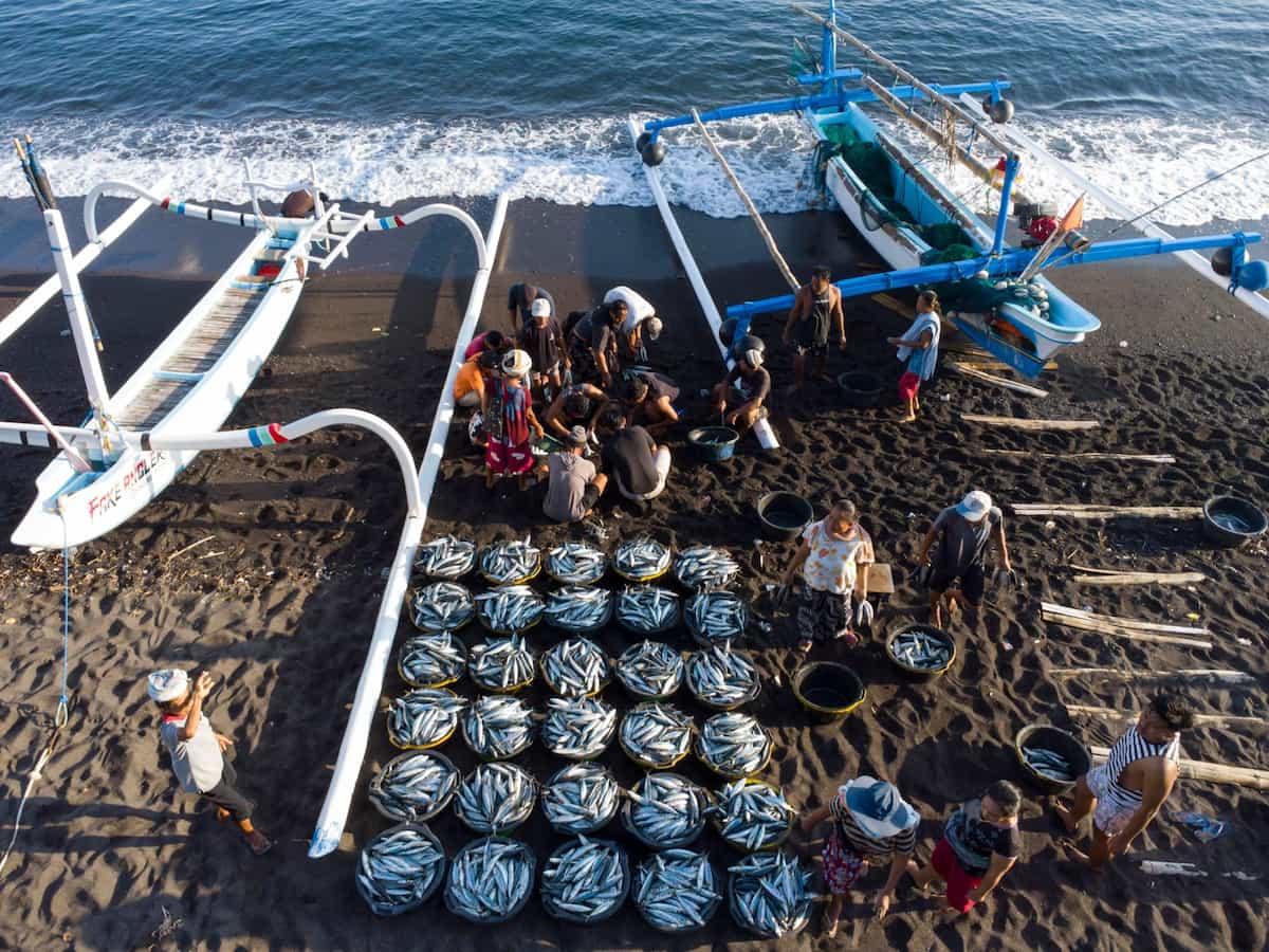 Fishers like these in Bali, Indonesia, face many of the same problems as those working from the Chinese island of Hainan, thousands of kilometres to the north (Image: Peter Fischer / imageBROKER / Alamy)