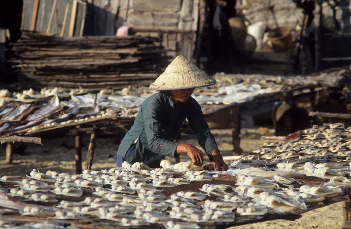 Fish being dried in Hainan. Small-scale fishers on the island have struggled to make money in recent years, something many Indonesian fishers have also experienced (Image: Chris Mellor / Alamy)