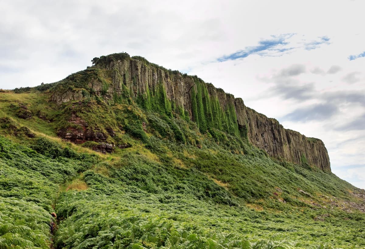 The Doon cliff at Drumadoon on the Isle of Arran, west Scotland. A series of interventions are planned at Drumadoon farm to produce 70,000 nature credits over 10 years (Image: Scott Hortop Travel / Alamy)