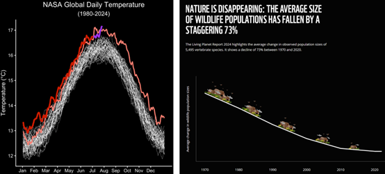 （左圖：MERRA-2 提供，2023 年的數值以粉紅色顯示，2024 年至 6 月的數值以紅色顯示。2024 年 7 月 1 日至 7 月 23 日的每日全球氣溫值以紫色顯示／圖片來源：NASA analysis of global daily temperature data；(右圖) 1970 年至 2020 年間，野生動物數量在短短 50 年間減少了73%／圖片來源：《LIVING PLANET REPORT 2024》）
