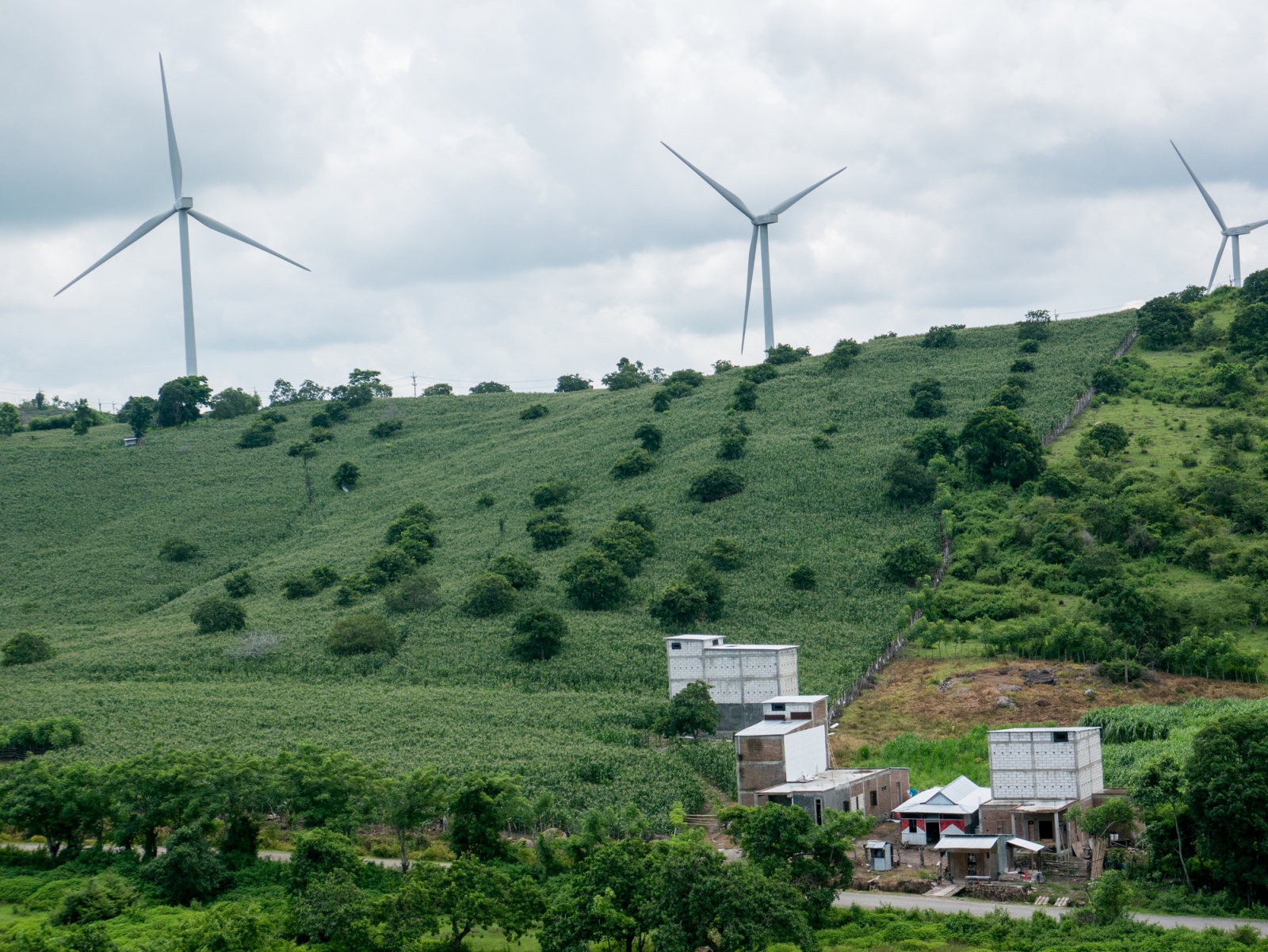 Indonesia Relaxes Local Content Rules to Spur Green Energy Investments.