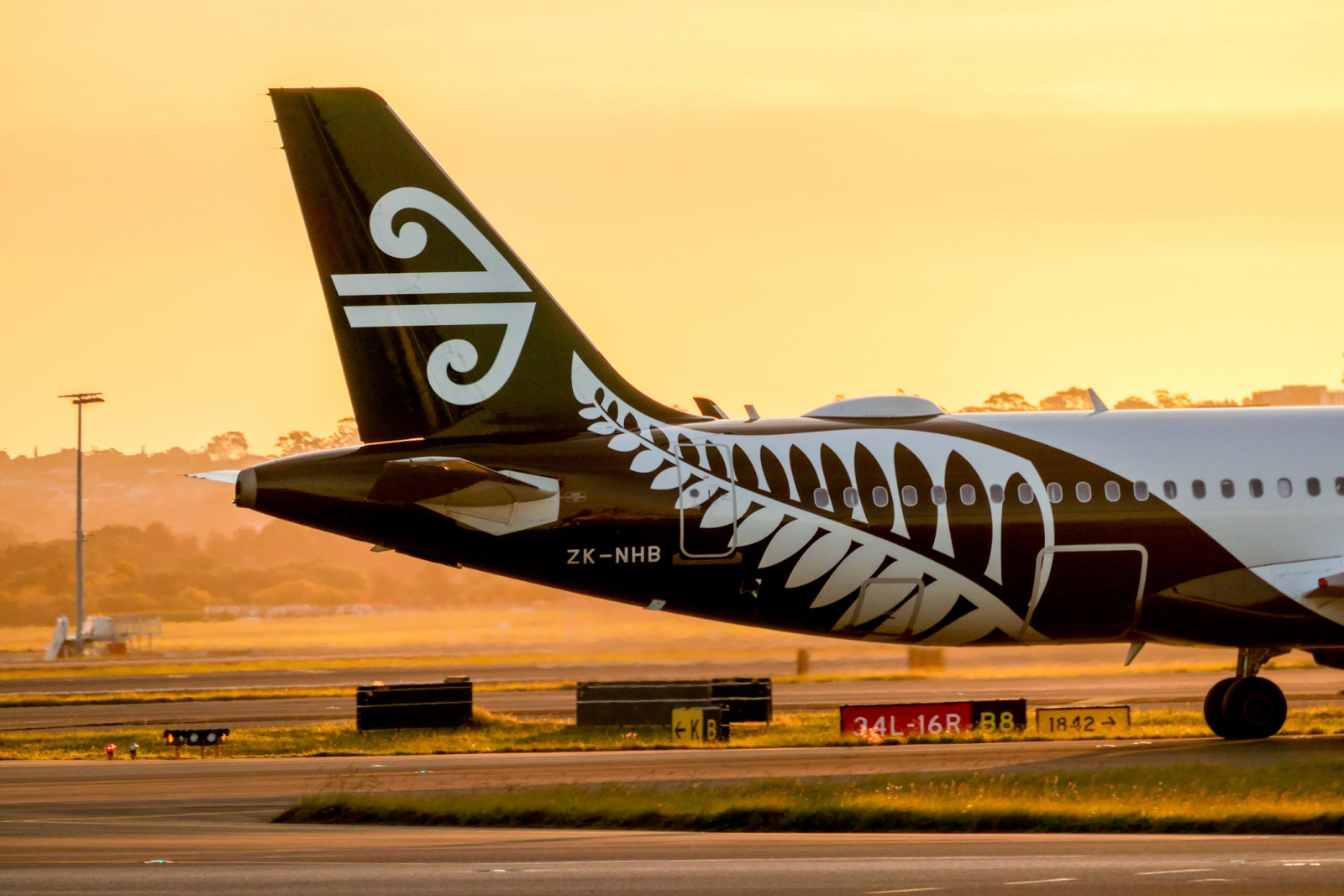 Sustainable Future Air New Zealand becomes first major airline to scrap its 2030 climate goal