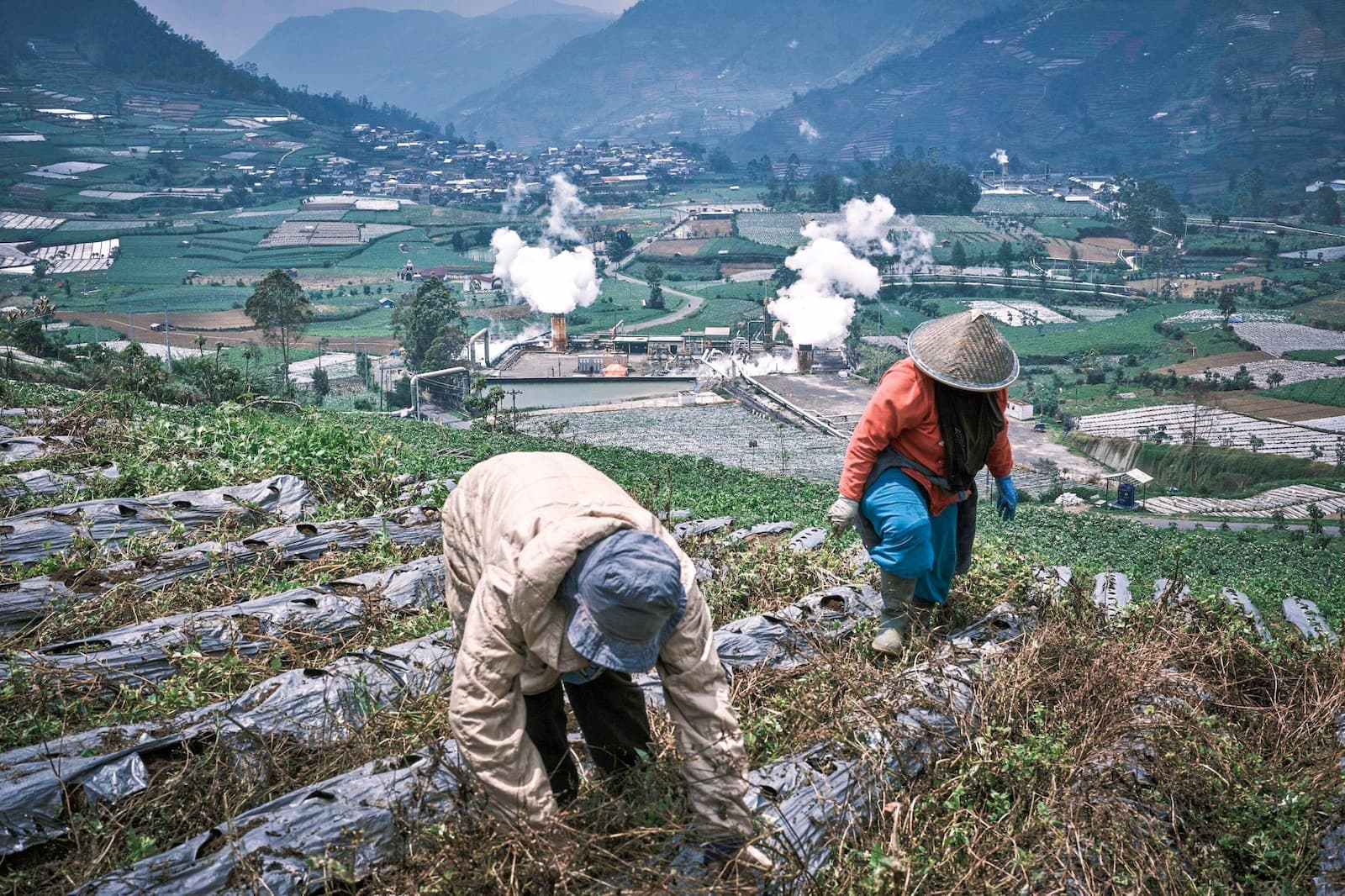 Farmers tend to their field as steam rises from a geothermal power plant in Dieng, Central Java (Image: Beawiharta / Associated Press / Alamy)