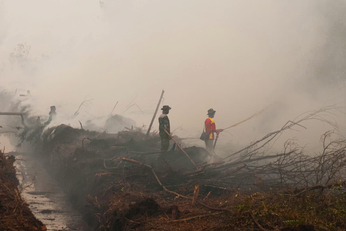 Army officers and and firefighters try to extinguish fires in peatland areas, Borneo. Image by Aulia Erlangga/CIFOR via Flickr (CC BY-NC-ND 2.0).