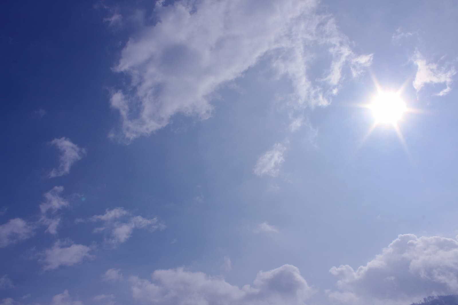Researchers estimate there were 2,305 excess heat-related deaths during the heat wave from June 23 to July 2. 