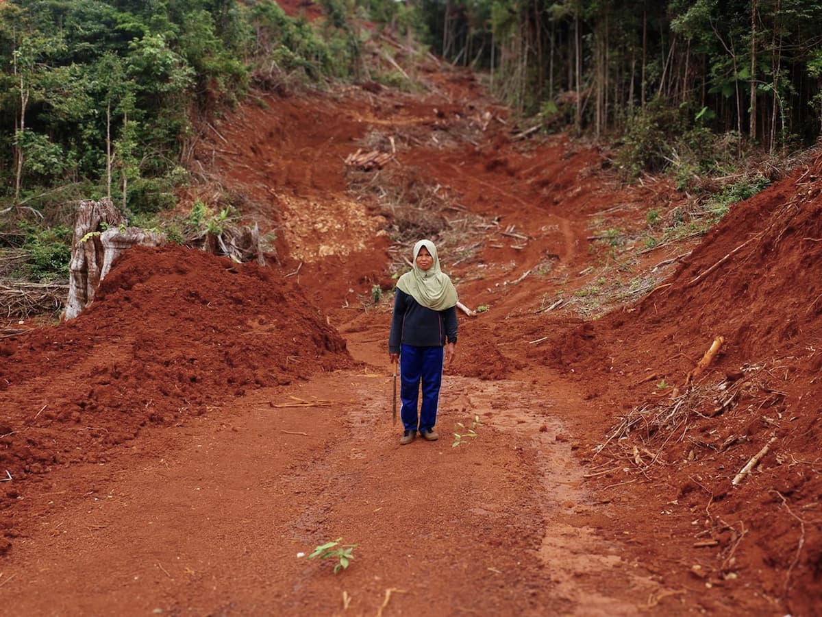 Royani, a resident of Mosolo village in south-east Sulawesi, Indonesia, stands on her land, which has been stripped bare. Three hundred of her clove trees have been cut down by a mining company, which is now planning to push ahead with excavations (Image: Yuli Z / Project Multatuli)