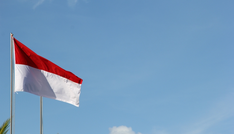 印尼設燃煤電廠排放配額 跨出碳交易第一步