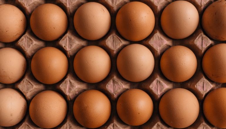 吃蛋救地球 泰國政府認證首批低碳雞蛋