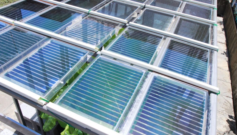 讓太陽能板不與植物搶陽光 陽明交大投入研究「有機太陽光電裝置」