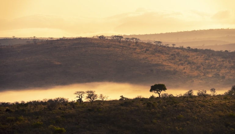 Scramble for African forests looming for carbon credits
