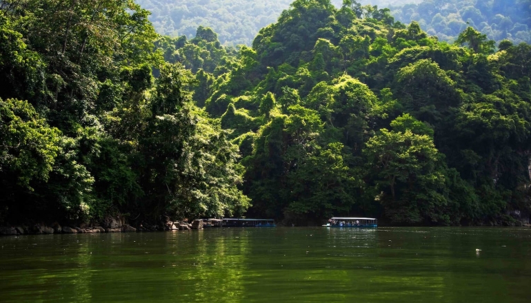 越南六省出售首批森林碳权 进帐逾人民币2.9亿元