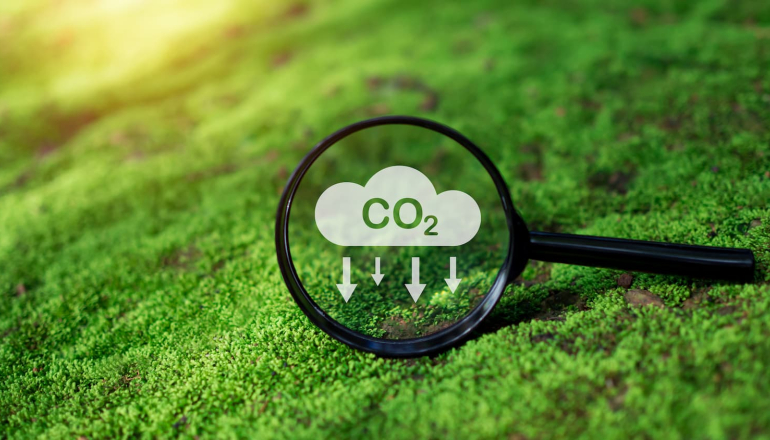 SBTi新报告锁定「价值链外减缓」 助企业解决碳权漂绿疑虑