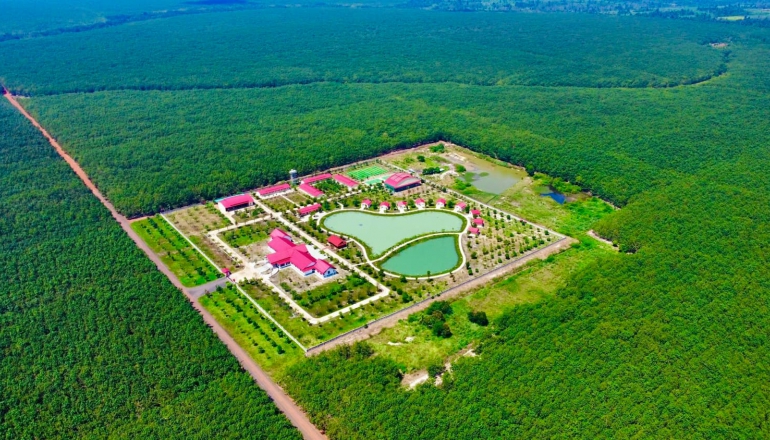 Vietnam Rubber Group evaluates rubber forest carbon for commercialization