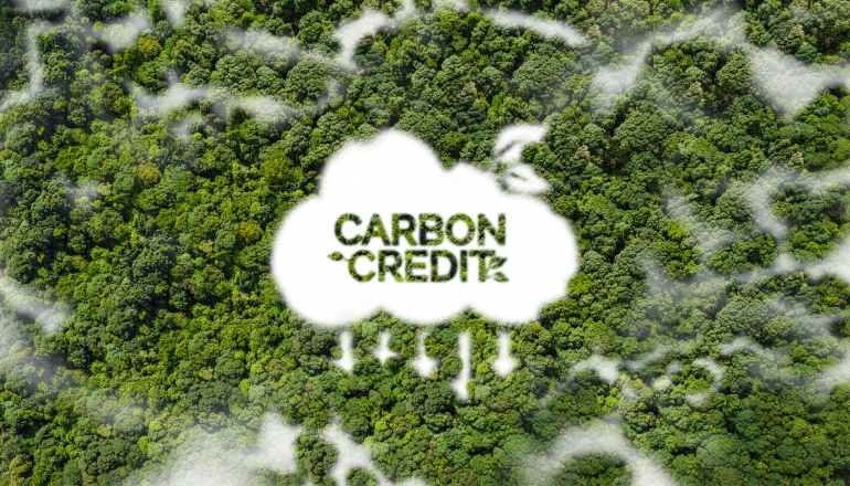 2023年碳權交易量腰斬！自願性碳市場連兩年萎縮，哪些碳權價格逆勢上漲？
