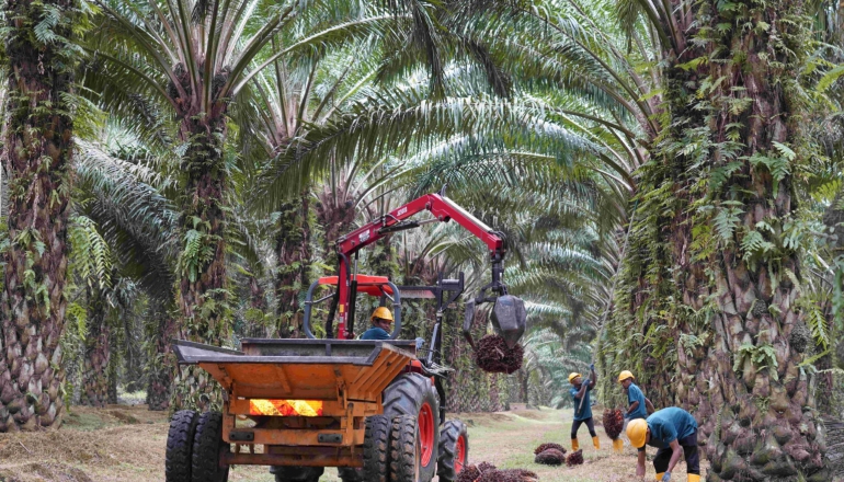大馬棕櫚油商IPO吸50億元！承諾推動生質甲烷及復林，拼明年碳排減半