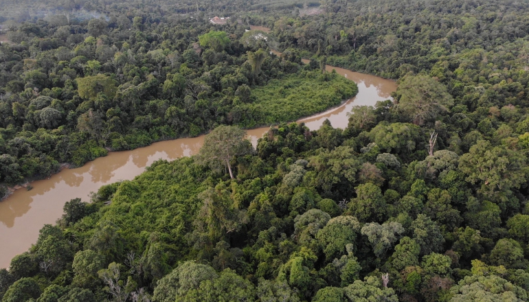 Indonesia’s new government targets $65 bln green fund through carbon credit revenues