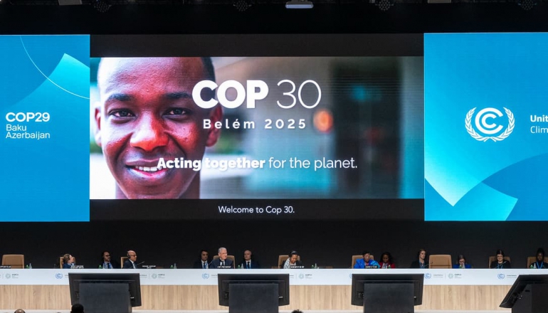 COP29: Five key takeaways from Brazil’s 2035 climate pledge