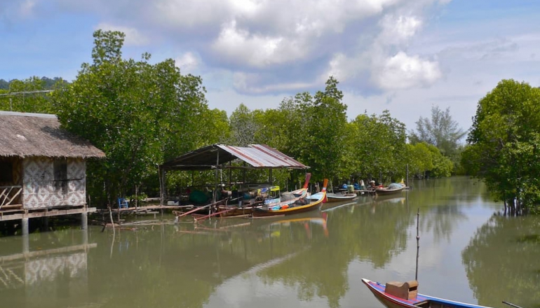 Thailand exempts land tax to boost blue carbon in mangrove forests