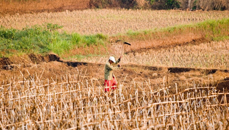 Tropical island nations face a land crisis