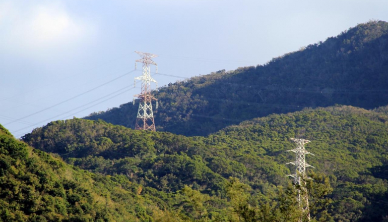 台電首賣RE30低碳電力！電價分艙是什麼？如何影響企業減碳？4個QA一次看