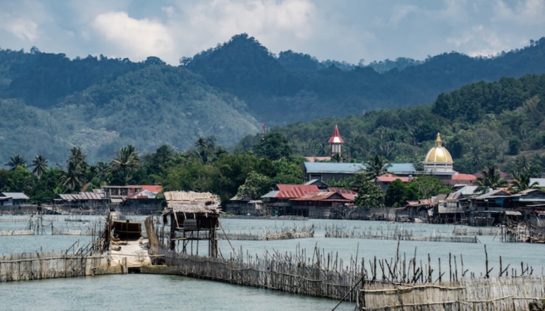 Indonesia’s Lake Poso faces biodiversity crisis amid rising deforestation