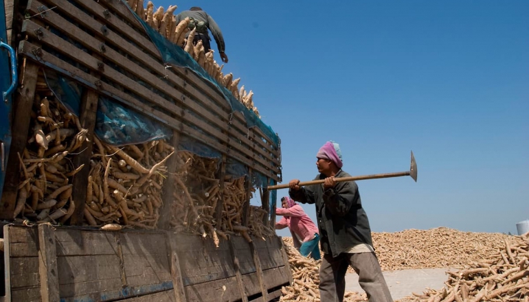 Thailand’s ethanol revolution: Can biofuels deliver on climate goals?